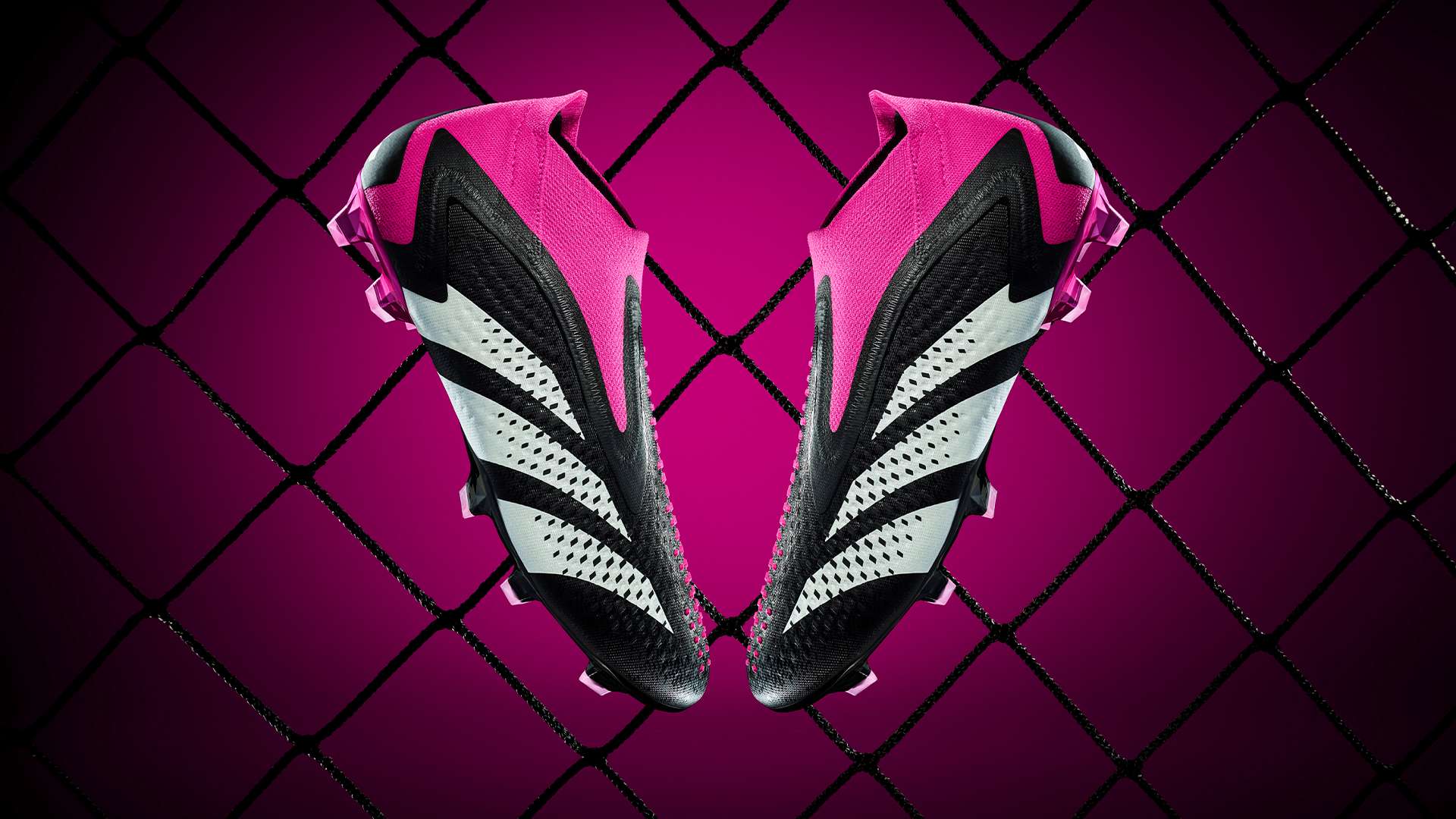 能步入某個 能步入某個